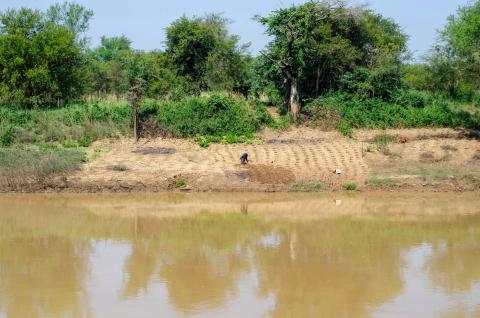 Farming activities along the Black Volta River_Ghana (Cred. CDKN)